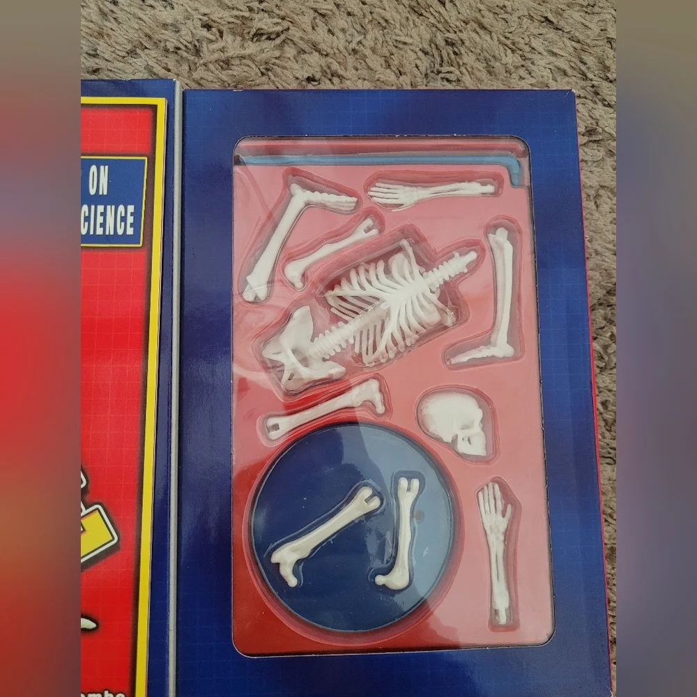 💥3/$24 NIB Scholastic Build a Skeleton Book‎ with Miniature Skeleton